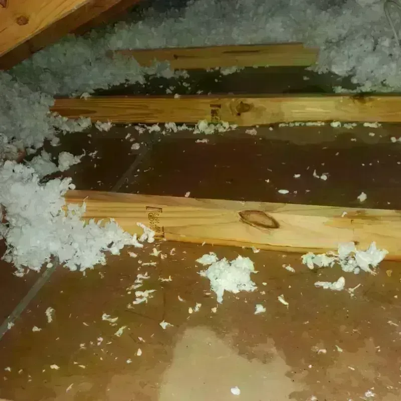 Attic Water Damage in Christian County, MO