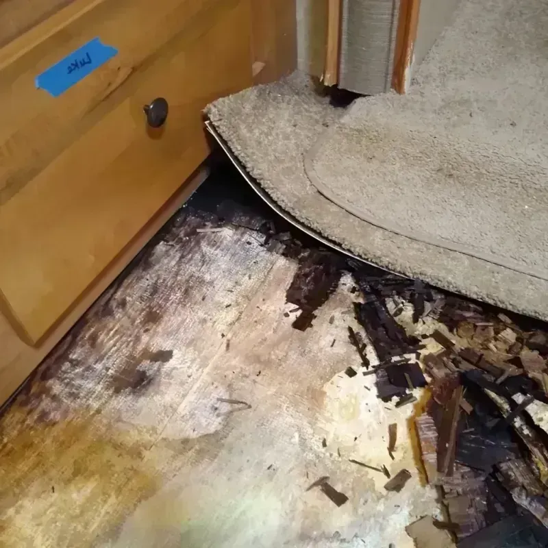 Best Wood Floor Water Damage Service in Christian County, MO